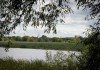 Два сельских водоема расчистят в г. о. Коломна в этом году