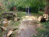 117 поваленных ураганом деревьев ликвидированы в Коломне