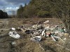 В коломенских лесах еще не ликвидировали мусорные навалы