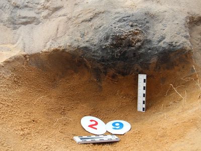 Массовое захоронение детей первого тысячелетия нашей эры обнаружили коломенские археологи