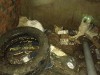 Привязанных собак обнаружили спасатели в заброшенном гараже в Коломне