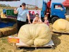 591 кг и  4,7 метров в окружности: фермер из Луховиц вырастил самую большую тыкву в стране