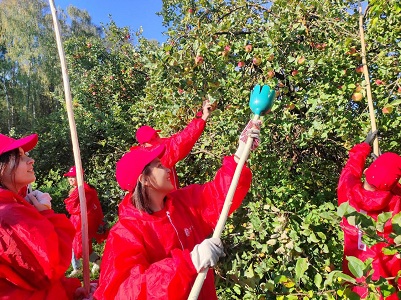 Волонтеры помогли собрать урожай яблок для детского дома