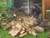 Как коломенцам собрать дрова в лесу и не нарваться на штраф