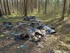 Более 9 млн рублей начислили нарушителям лесного законодательства в Подмосковье