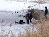 Внимание, опасность: коломенцев призывают не выходить на лед