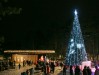 Праздник в честь открытия главной елки Озер состоится 7 декабря