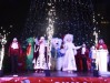 Главную новогоднюю елку открыли в Коломне