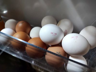 Президент пообещал, что ситуация с яйцами и курятиной улучшится