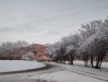 Январские морозы ослабят хватку, но ненадолго