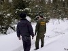 Пять нарушителей задержали в Коломенских лесах за незаконную рубку хвойников