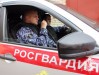 Более 900 правонарушителей доставили в отделы полиции сотрудники Коломенского ОВО