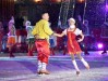 Более 4500 зрителей увидели ледовое шоу Татьяны Навки в Коломне