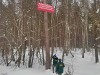 Незаконную рекламу сняли с дерева в лесу под Озерами
