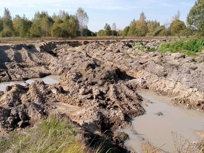 В 16 миллионов оценили ущерб, нанесенный экологии владельцем участка в Коломне