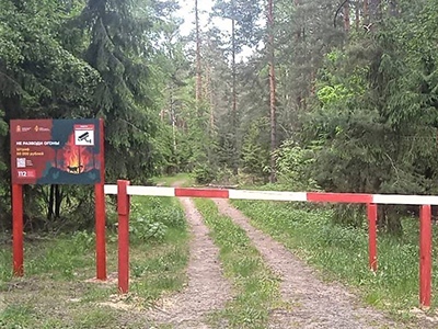 Ограничение на посещение лесов в Подмосковье продлили до 3 июня