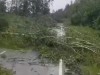 Последствия урагана в Егорьевске устраняют коломенцы