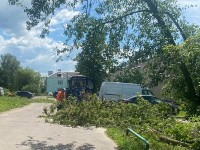 Больше 60 поваленных деревьев ликвидировали сотрудники ДГХ