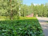Зеленые насаждения привели в порядок в парке «Дубовая роща»