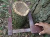 15 уголовных дел за незаконную рубку леса возбуждено в Подмосковье