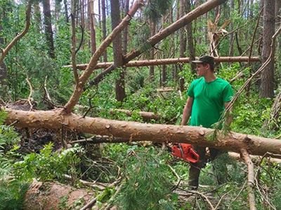 В коломенских лесах продолжают устранять последствия июньского урагана