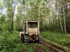 Более пяти километров лесных дорог расчистили в городском округе Коломна