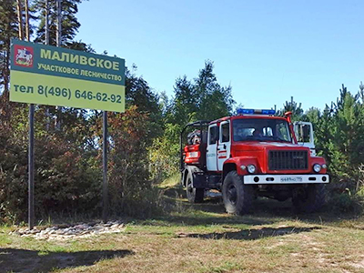 В Коломенских лесах усилены противопожарные меры