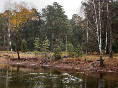 Около 400 аварийных деревьев спилили возле щуровских прудов