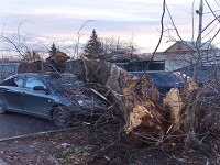 Последствия ураганного ветра в Коломне устраняют бригады ДГХ