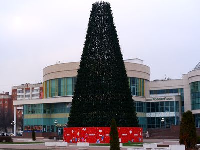 Почти 60 новогодних елок установят в Коломне и Озерах в этом году