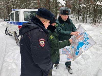 В Комлесхозе Подмосковья предупредили об ответственности за незаконную рубку елок