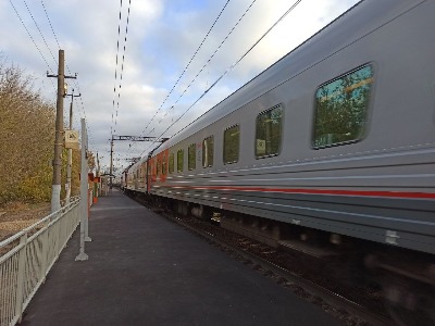 В новогоднюю ночь проезд на общественном транспорте в Москве будет бесплатным