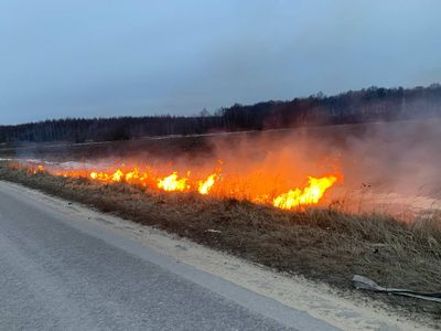 Загоревшееся поле тушили в Коломне