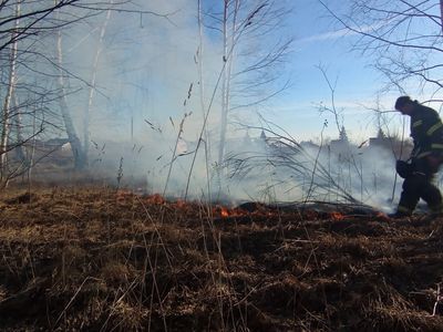 В Луховицах потушили горевшее рядом с деревней поле