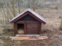 Коломенцы встали на защиту домика пса по кличке Бублик