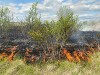 В коломенских лесах досрочно объявлен пожароопасный сезон